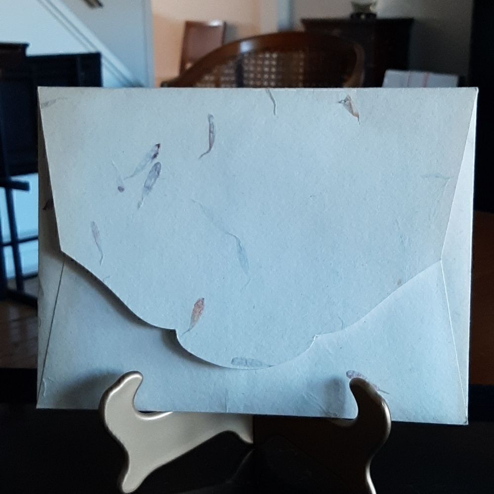 Parchment large envelope with 9 pieces of parchment stationery and envelopes.